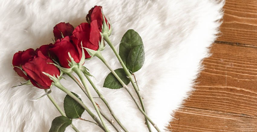 roses